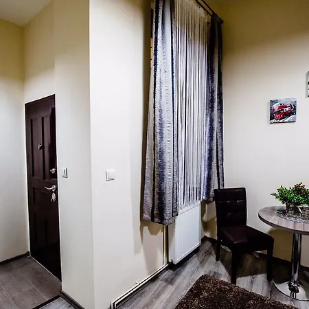 Anna Central Studio Apartment Sibiu Exterior photo